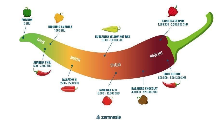 Les Piments Et L’Échelle De Scoville - Zamnesia